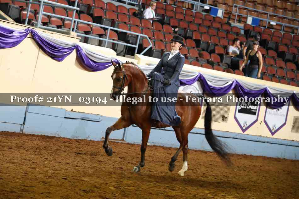 Proof 21YN_03194