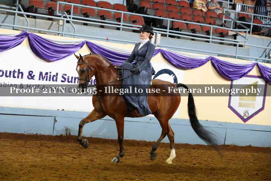 Proof 21YN_03195