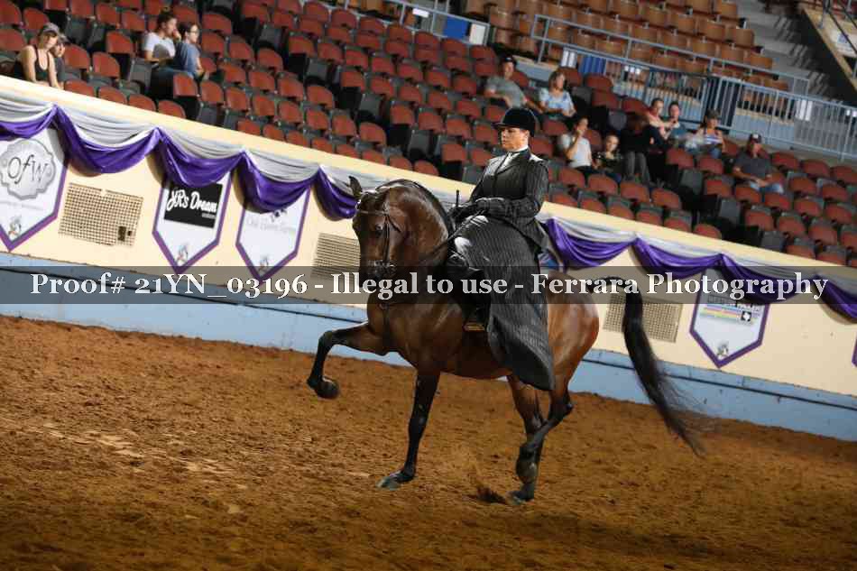 Proof 21YN_03196