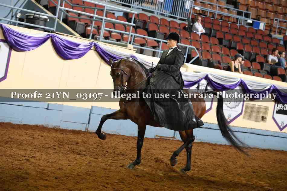 Proof 21YN_03197