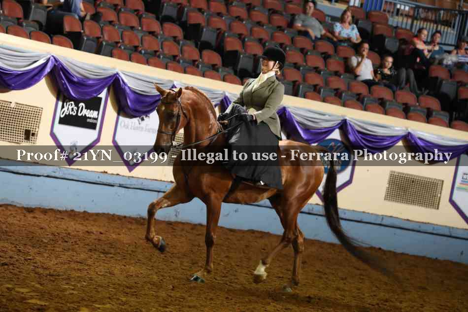 Proof 21YN_03199