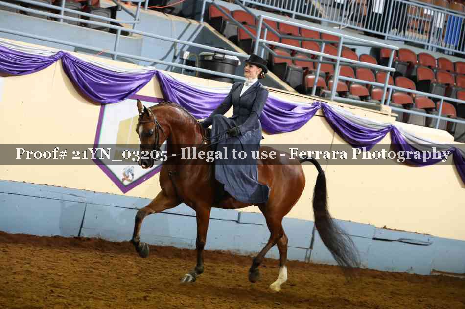 Proof 21YN_03205