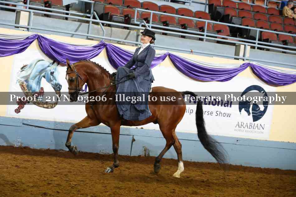 Proof 21YN_03206