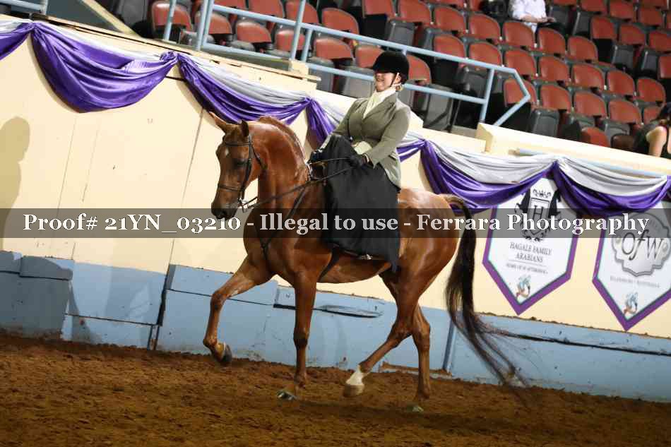 Proof 21YN_03210