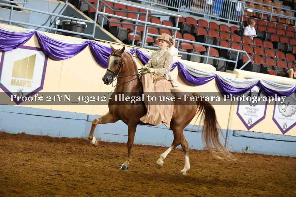 Proof 21YN_03212