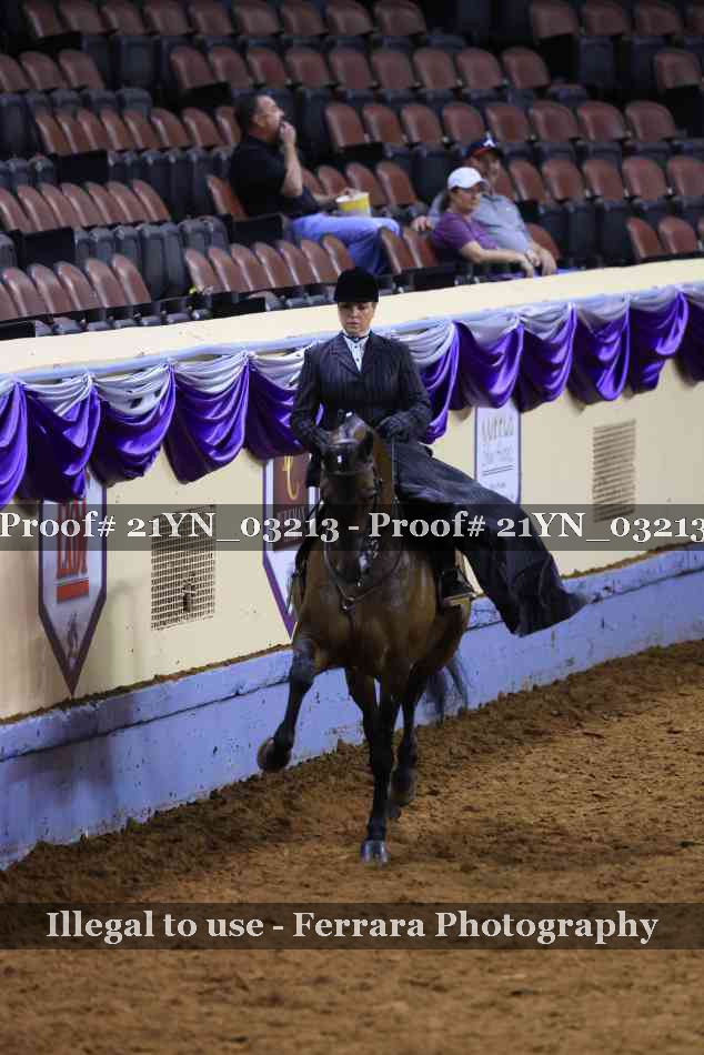 Proof 21YN_03213