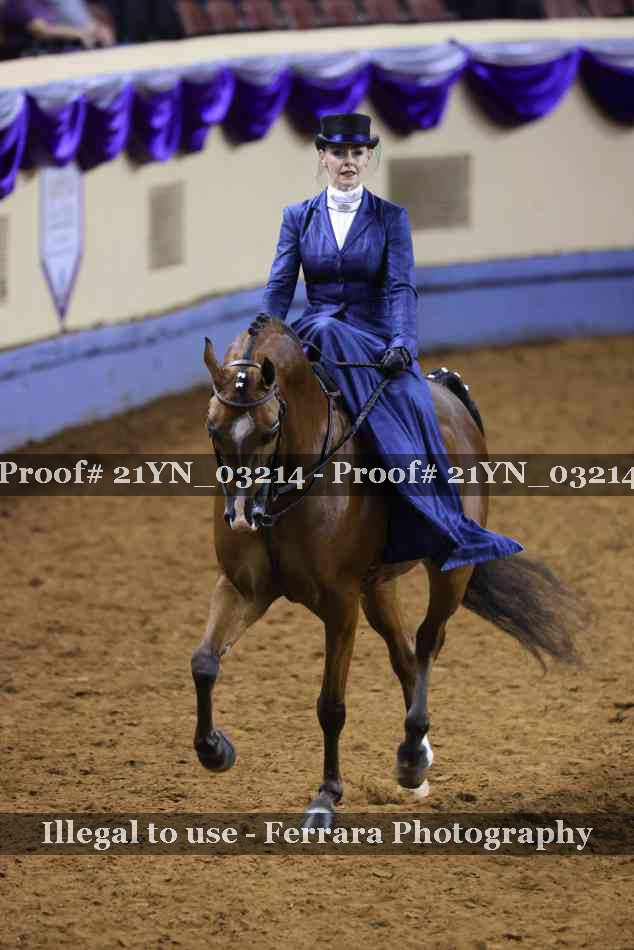 Proof 21YN_03214