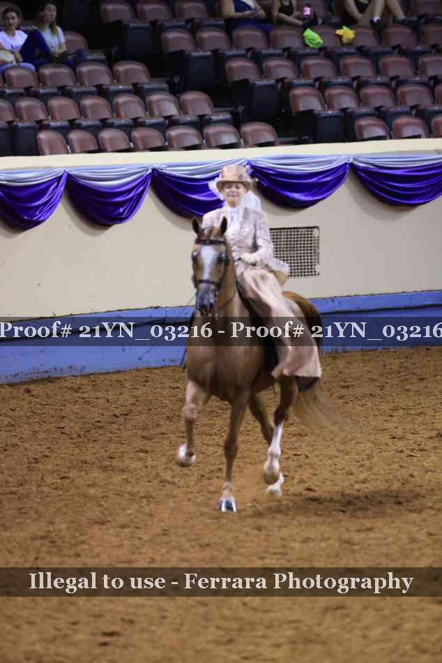 Proof 21YN_03216