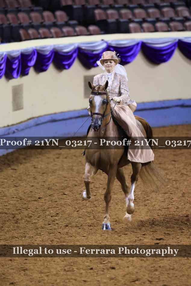 Proof 21YN_03217