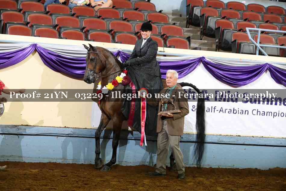 Proof 21YN_03229