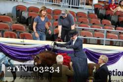 21YN_03234 proof