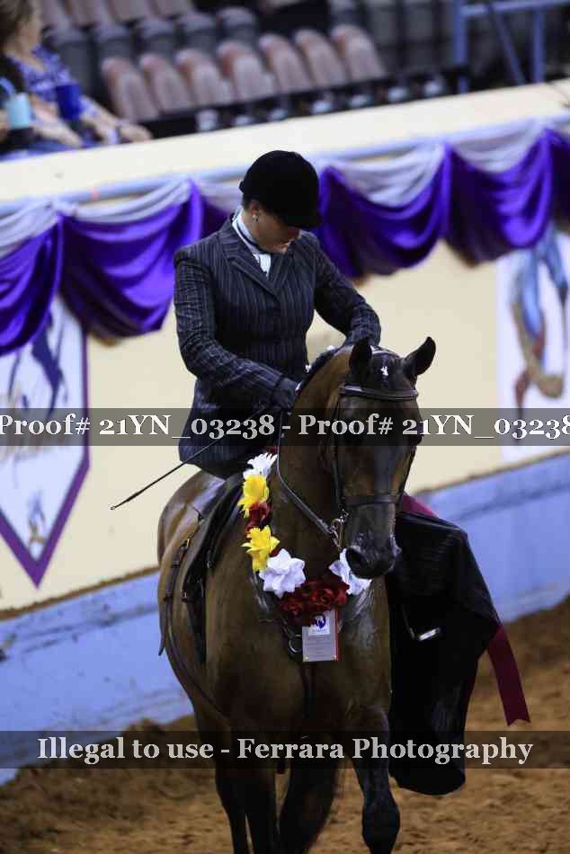 Proof 21YN_03238
