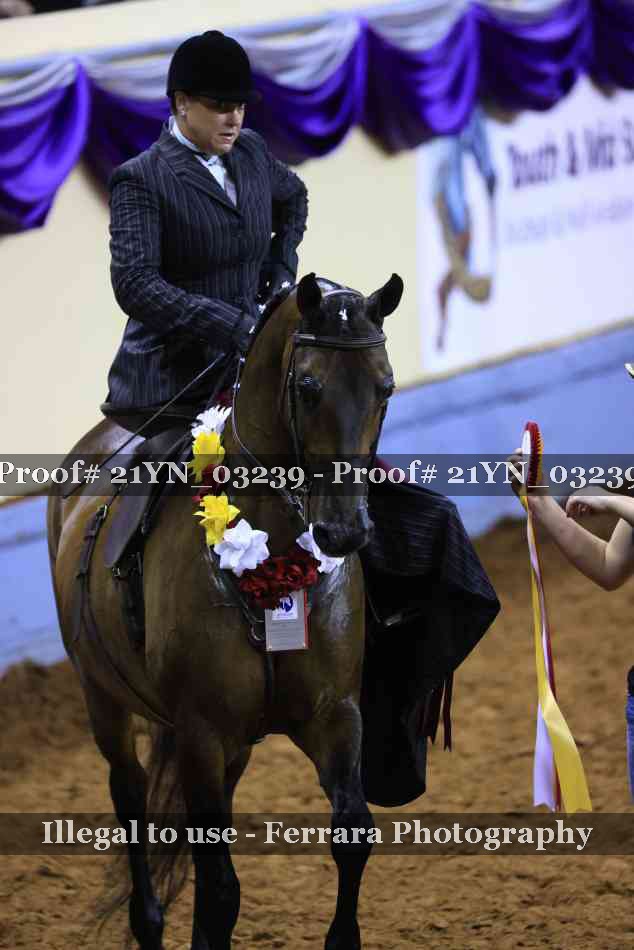 Proof 21YN_03239