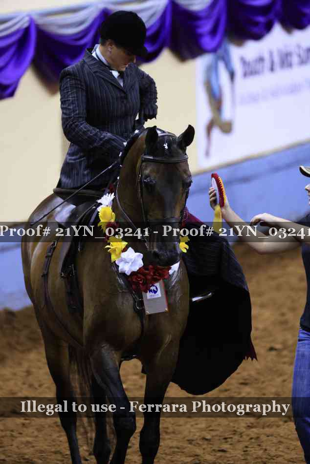 Proof 21YN_03241