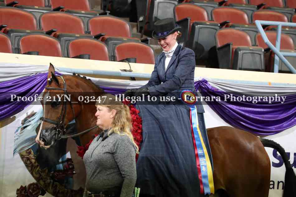 Proof 21YN_03247