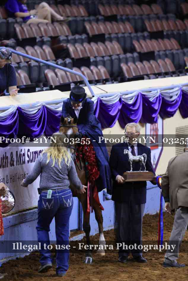 Proof 21YN_03255