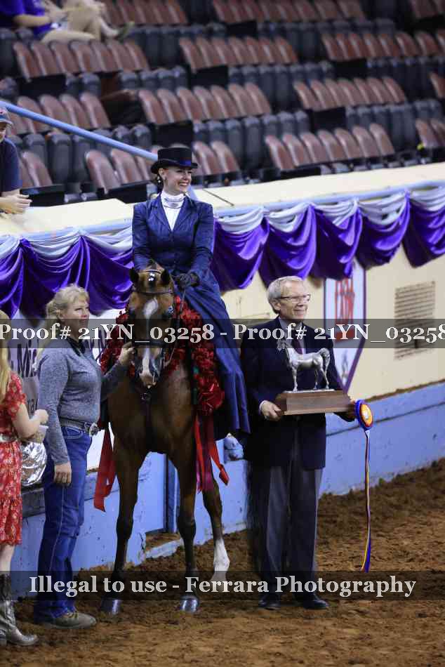 Proof 21YN_03258