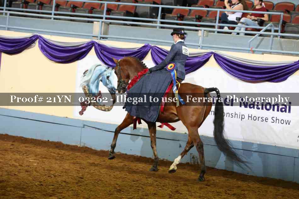 Proof 21YN_03262