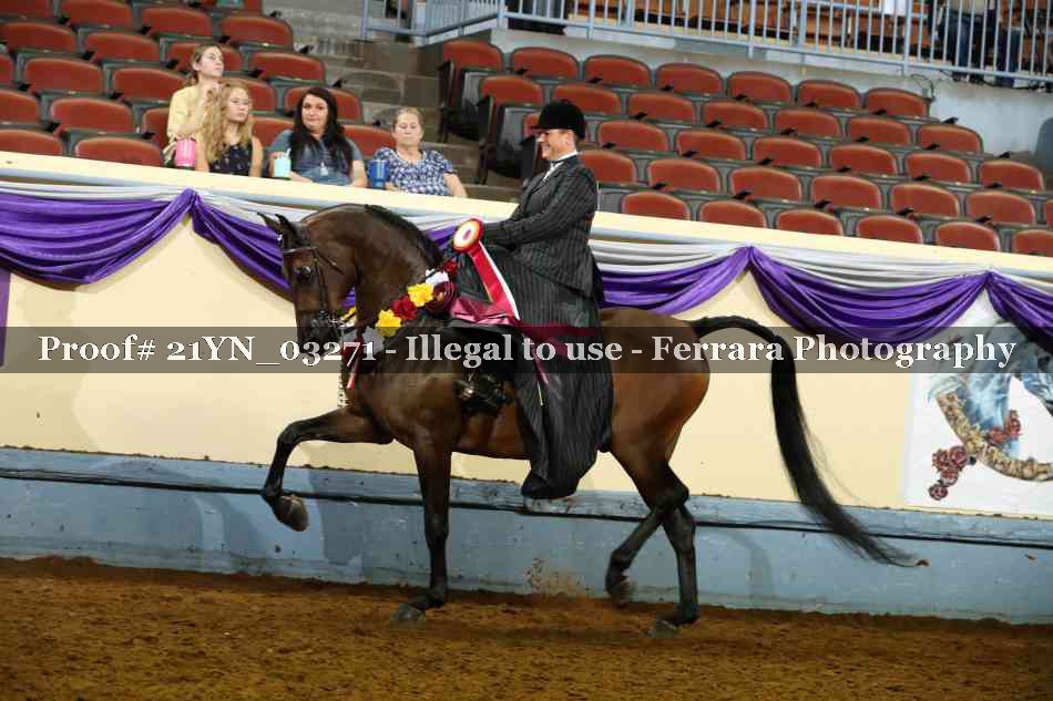 Proof 21YN_03271
