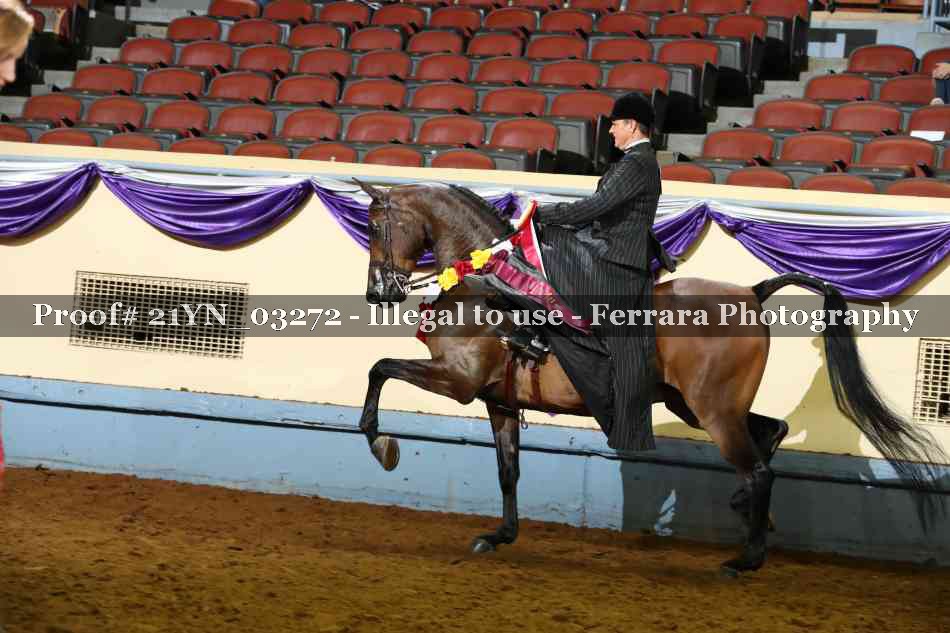 Proof 21YN_03272