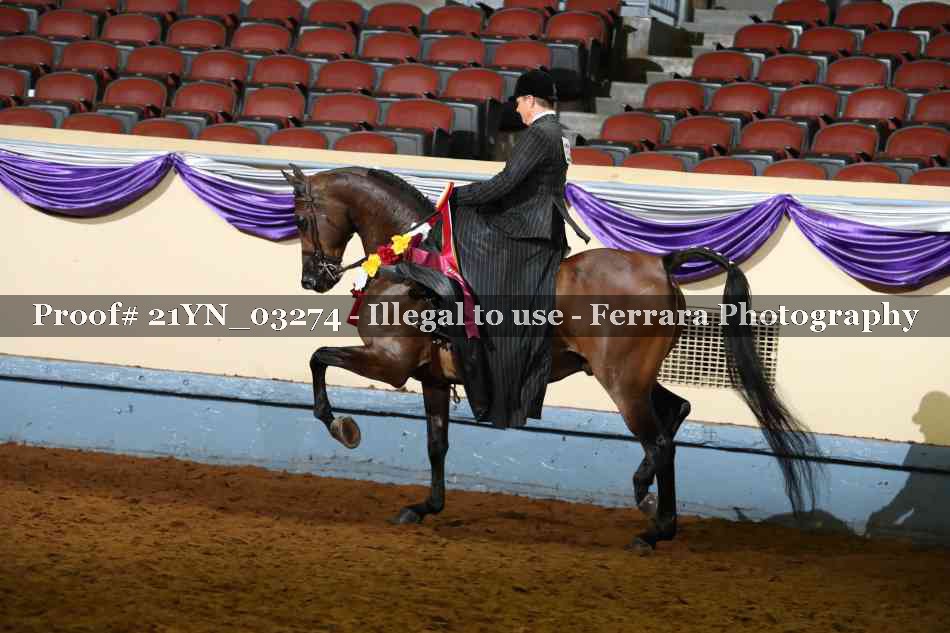 Proof 21YN_03274
