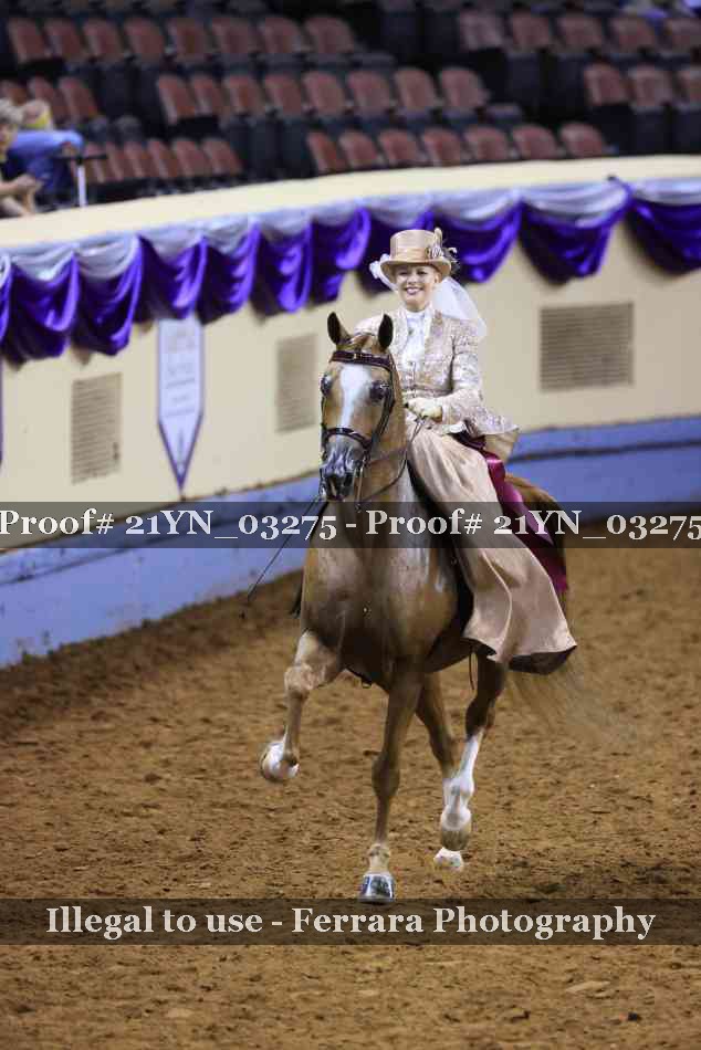 Proof 21YN_03275