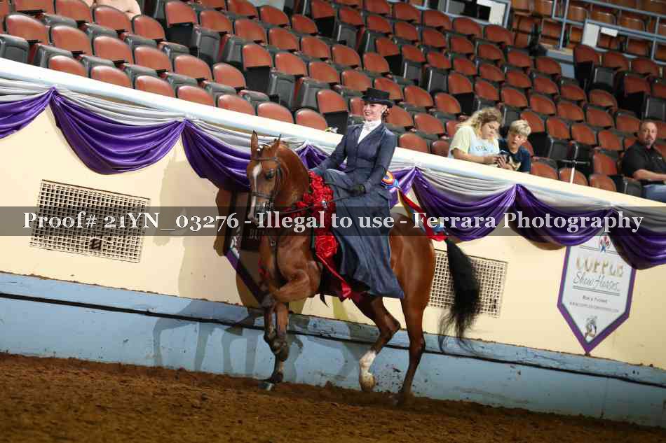 Proof 21YN_03276