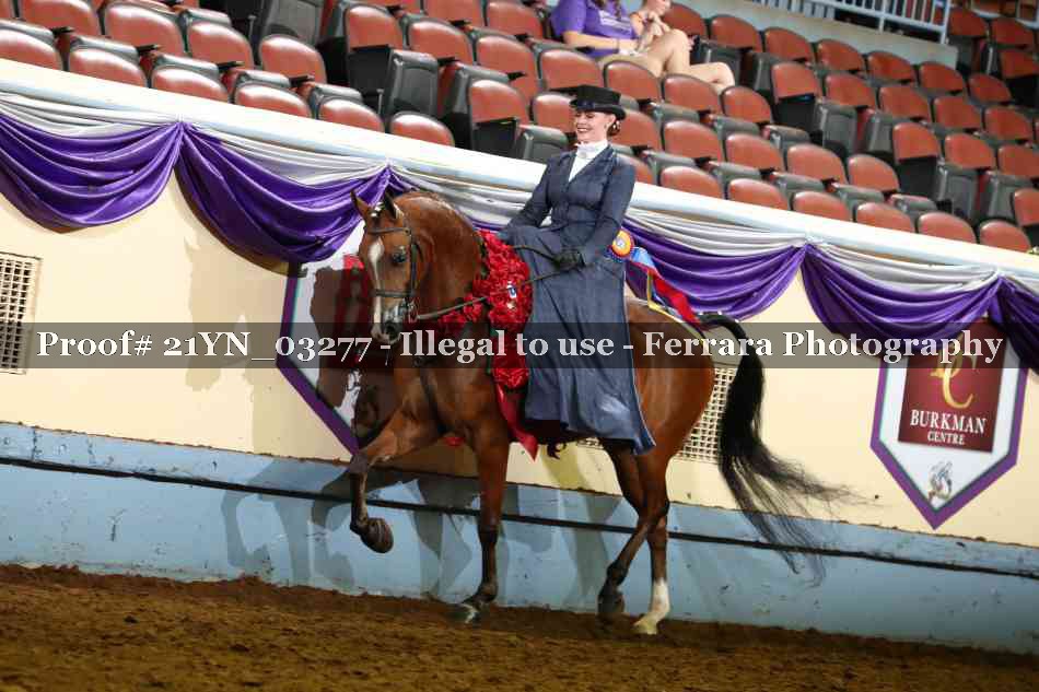Proof 21YN_03277