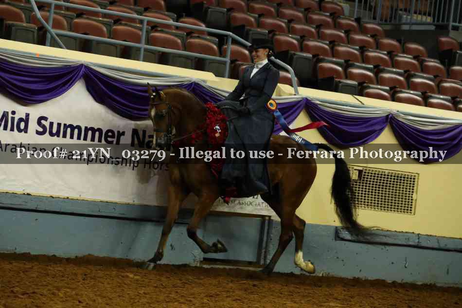 Proof 21YN_03279