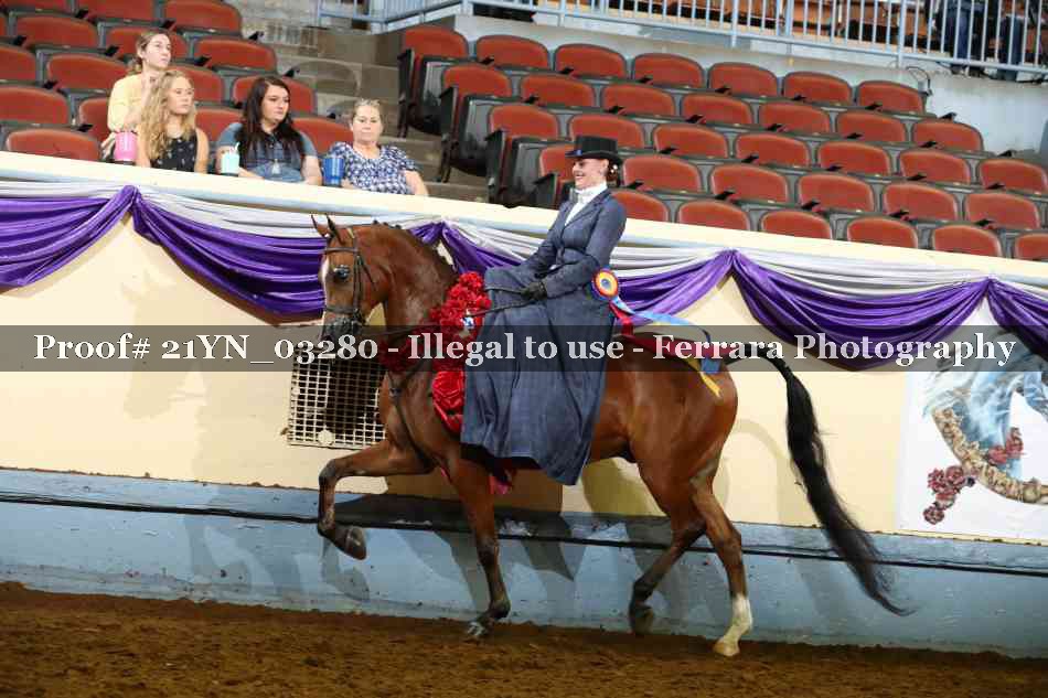 Proof 21YN_03280