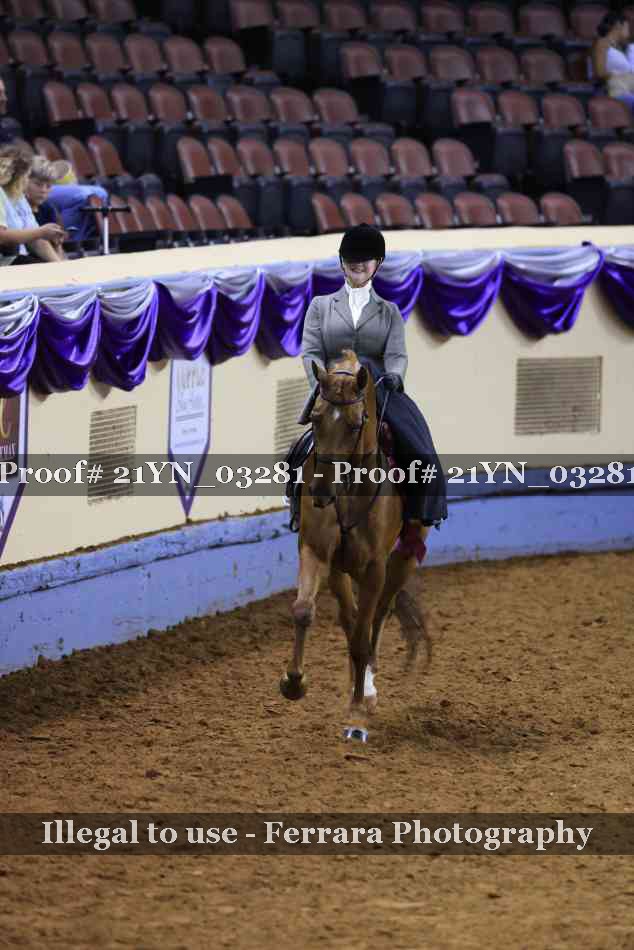 Proof 21YN_03281