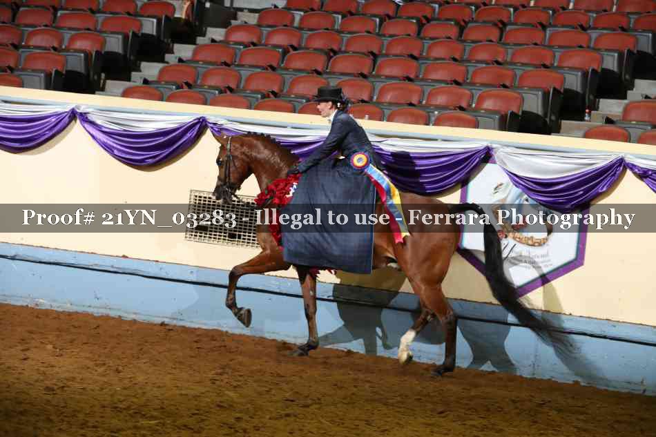 Proof 21YN_03283