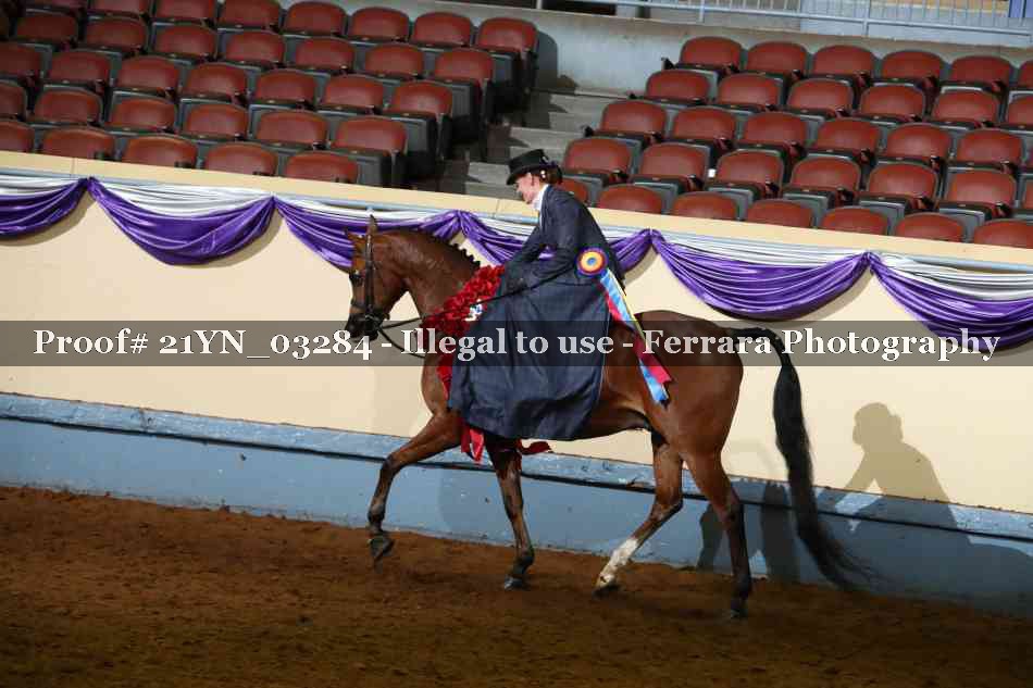 Proof 21YN_03284
