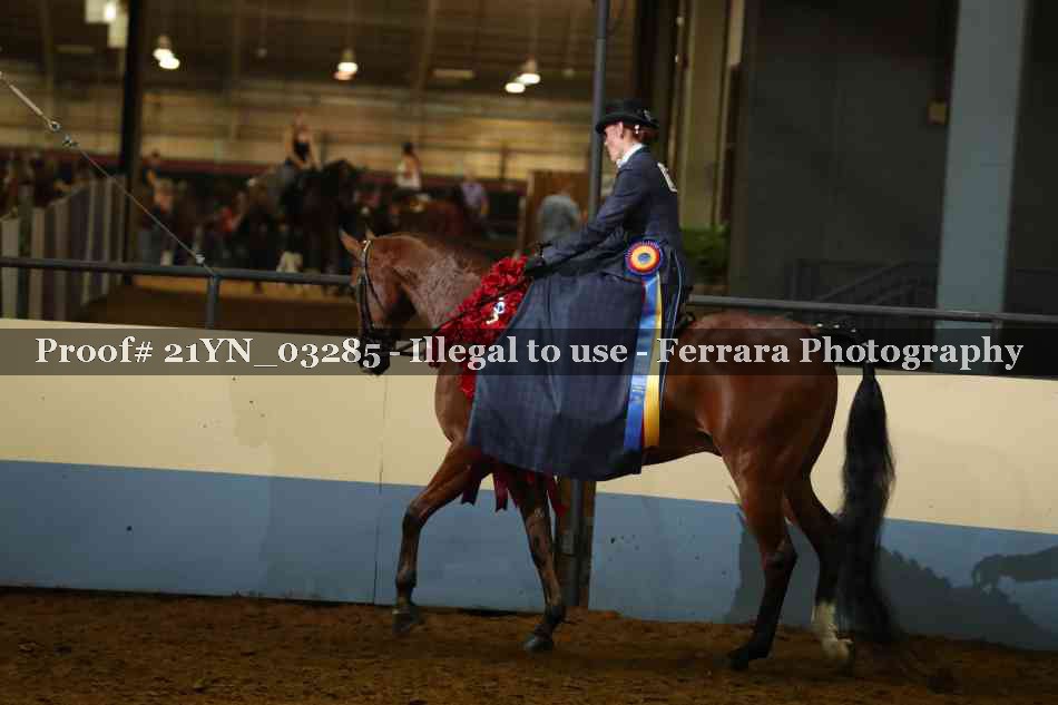 Proof 21YN_03285