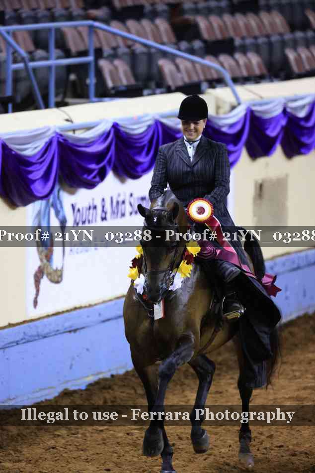 Proof 21YN_03288
