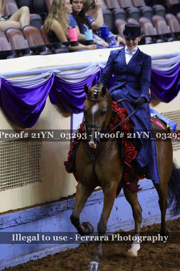 Proof 21YN_03293