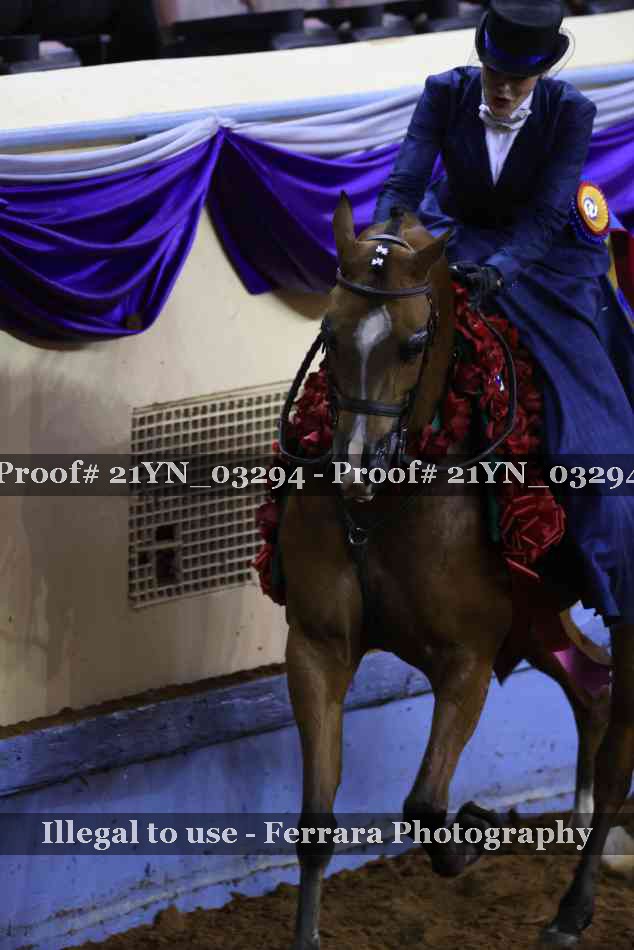 Proof 21YN_03294
