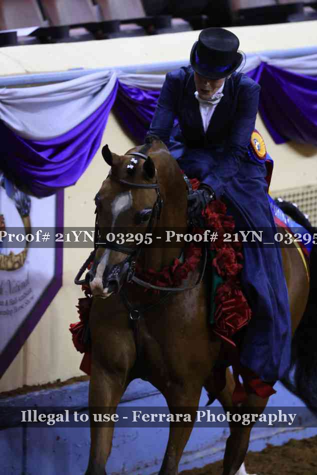 Proof 21YN_03295