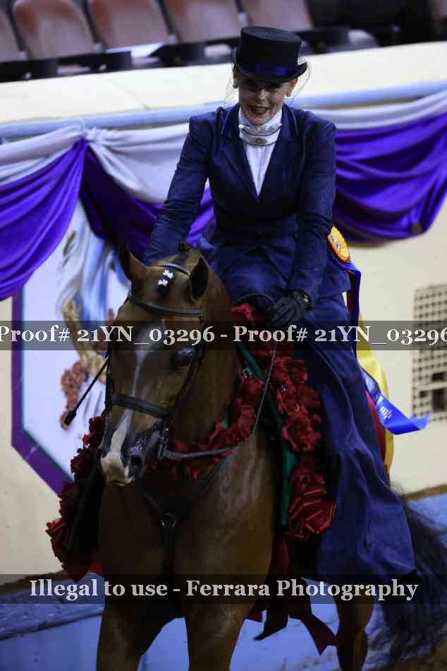 Proof 21YN_03296
