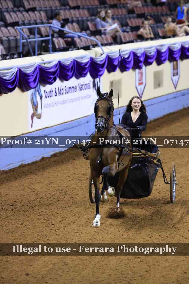 Proof 21YN_07147