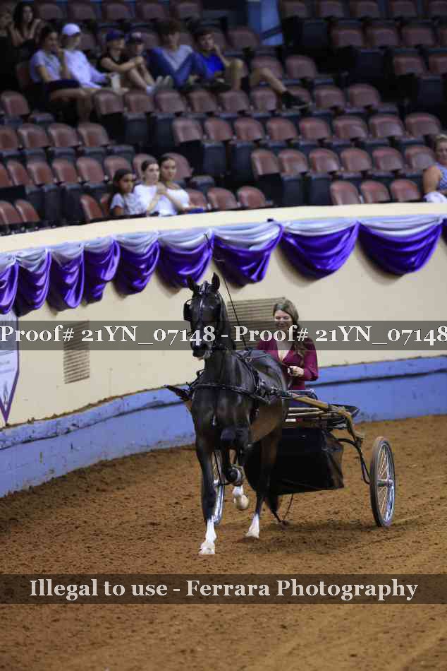 Proof 21YN_07148