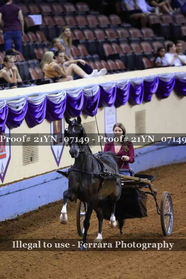 Proof 21YN_07149