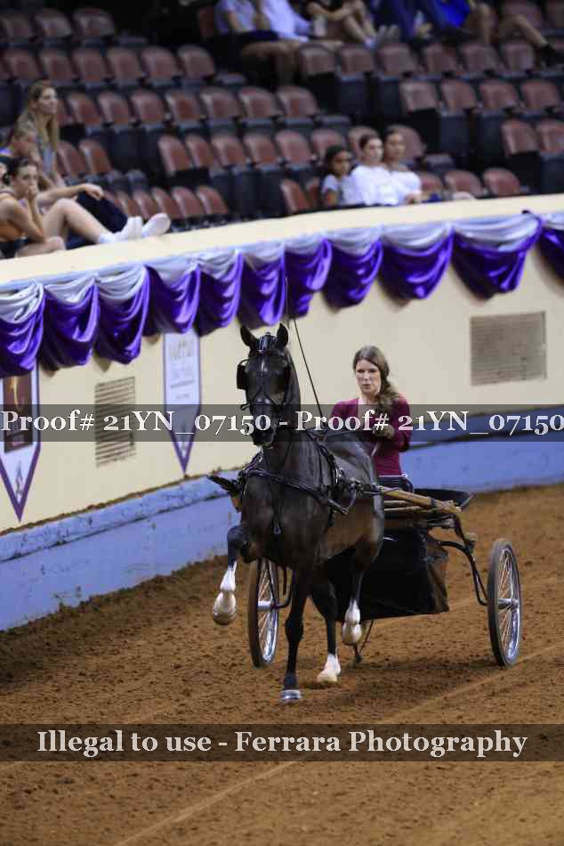 Proof 21YN_07150