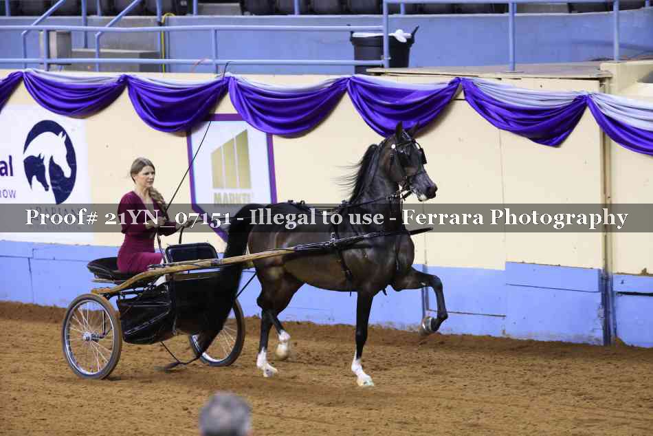 Proof 21YN_07151