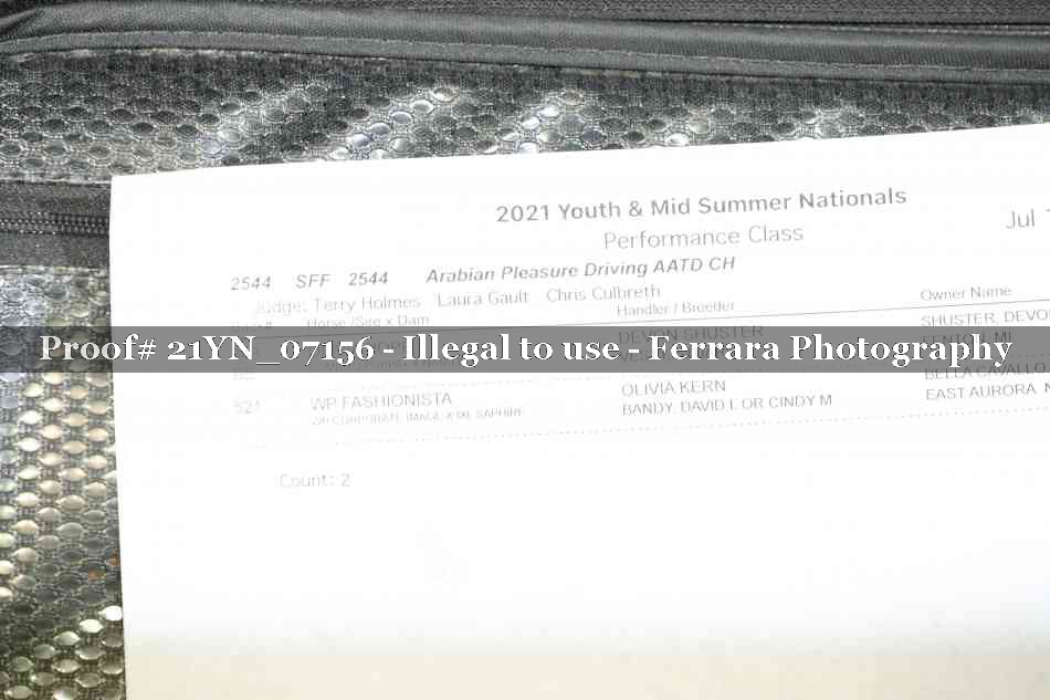 Proof 21YN_07156