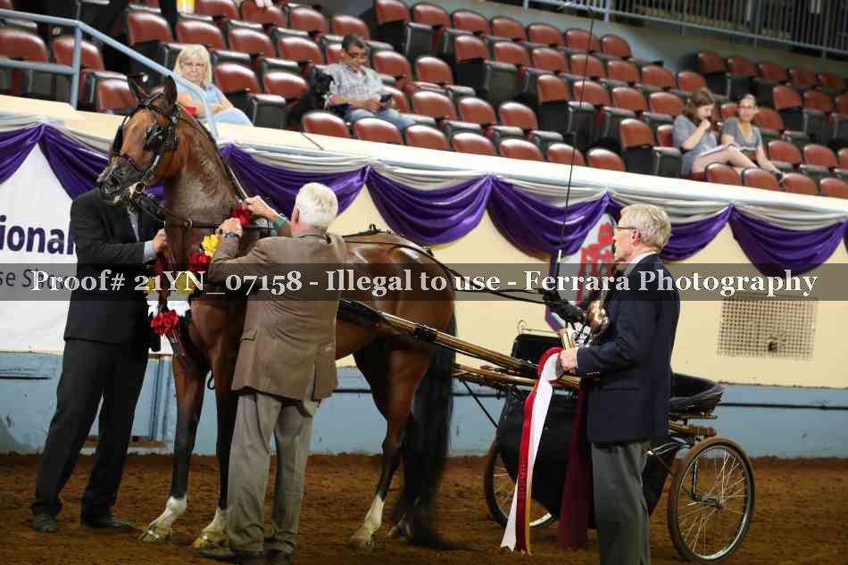 Proof 21YN_07158