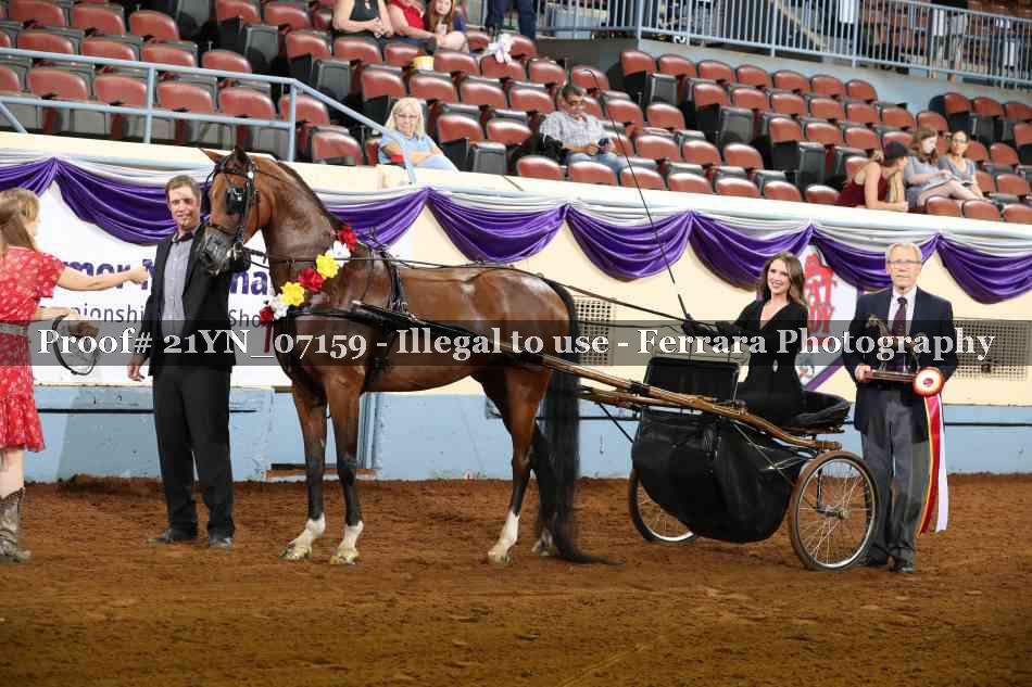 Proof 21YN_07159