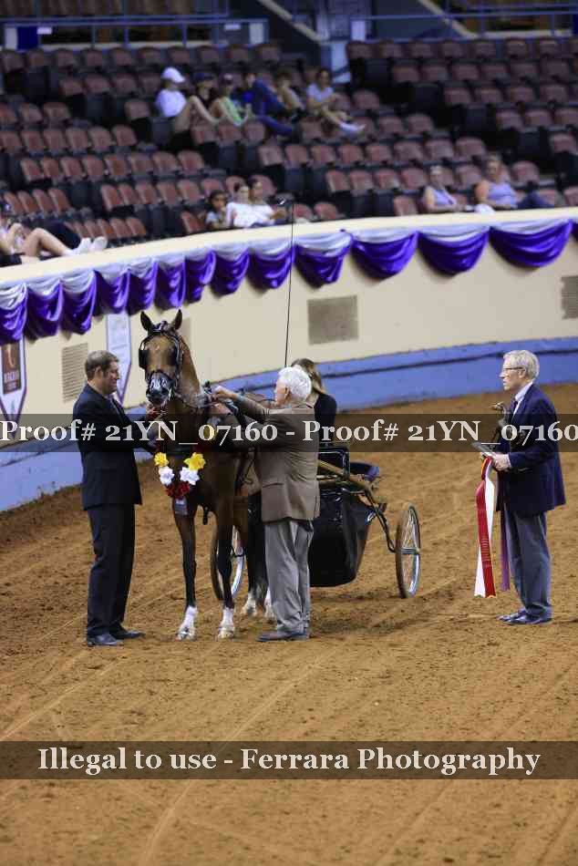 Proof 21YN_07160