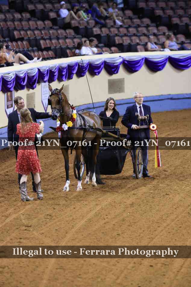 Proof 21YN_07161