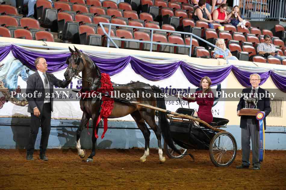 Proof 21YN_07164